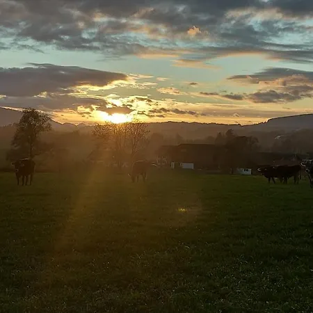 Fewo Gabriela Allgaeu Immenstadt im Allgäu Extérieur photo