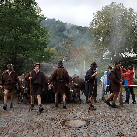 Fewo Gabriela Allgaeu Immenstadt im Allgäu Extérieur photo