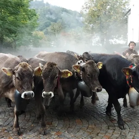 Fewo Gabriela Allgaeu Immenstadt im Allgäu Extérieur photo