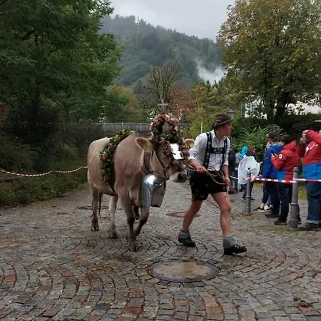 Fewo Gabriela Allgaeu Immenstadt im Allgäu Extérieur photo